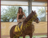 1AMAZONE- 0367